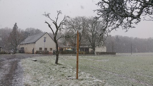 Öffnungszeiten Weihnachten 2025